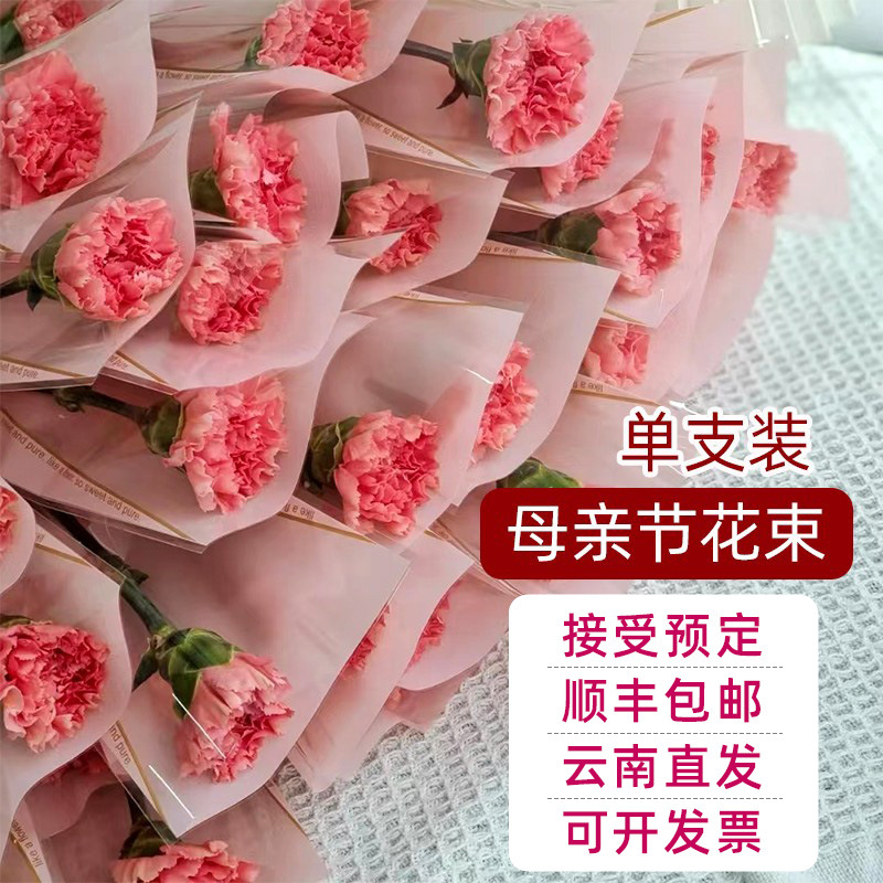 单支康乃馨母亲节520礼物礼品花束云南基地直发批量发地摊货源