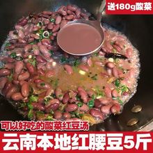 云南特产红芸豆农家自产自销红豆金豆红豆酸菜汤包邮送酸菜红腰豆