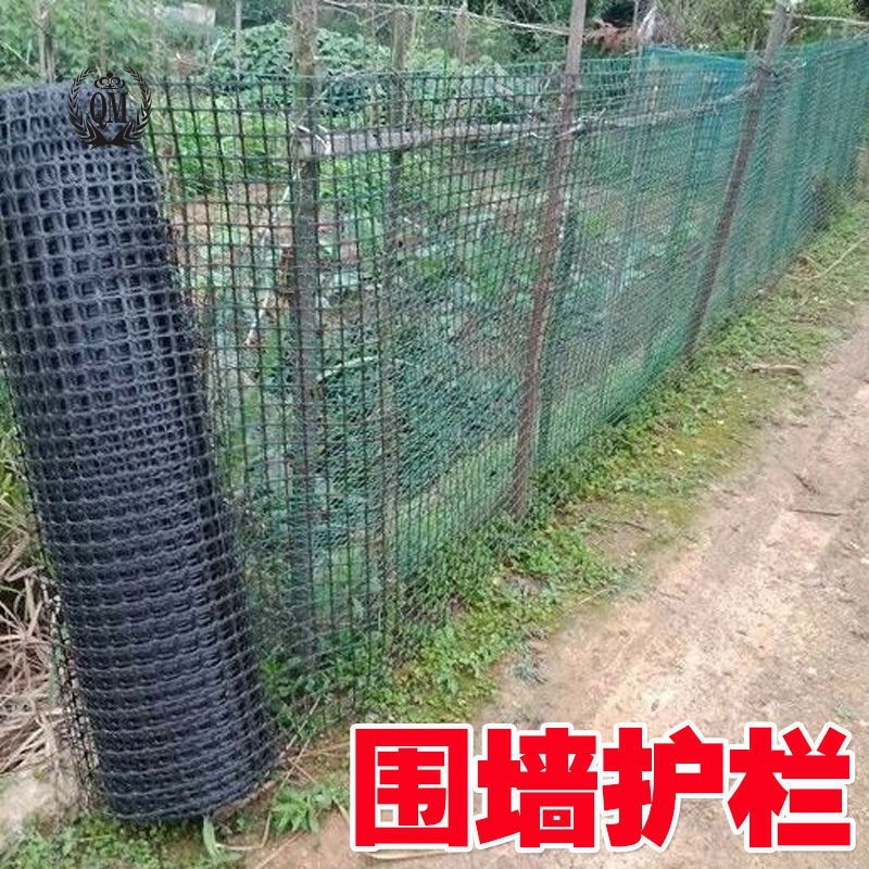 塑料网围栏养鸡养鸭网产地直供拦鸡网土工格栅网防护隔离网网格网