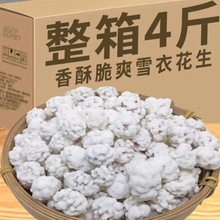 老式花生占糖衣花生米雪衣花生豆多味干果仁结婚小零食厂家批发