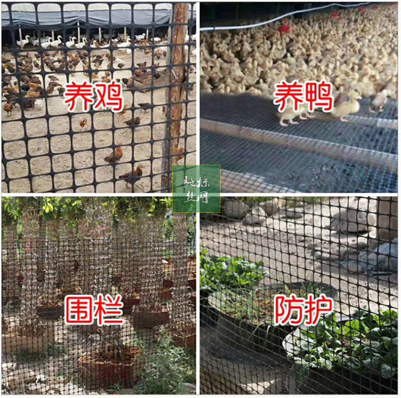 批发养鸡围栏网户外大棚口防兜水塑料防护网养殖鱼塘果园围网圈玉