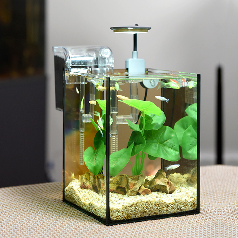桌面鱼缸小型办公室桌面迷你小鱼缸微景观自循环造景全套家用