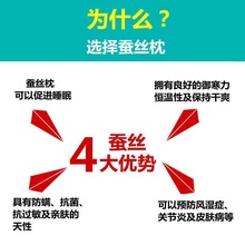 YZM高品质枕芯蚕丝枕头久睡不变形抗菌防螨家用宿舍单人双人枕