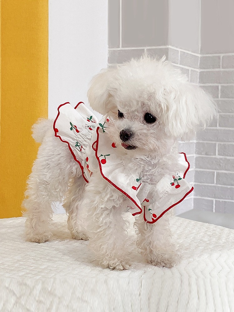 狗狗衣服夏季小狗比熊博美茶杯小型犬春秋款宠物幼犬泰迪裙子秋季