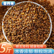 黑苦荞米5斤 农家自产高原全胚芽苦荞米苦荞麦 荞米五谷杂粮粗粮2