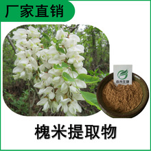 槐米提取物 槐花浸膏粉 高倍浓缩粉 多种规格 植物提取原料粉