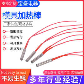 模具加热棒不锈钢模具干烧加热管工业单头加热管发热管