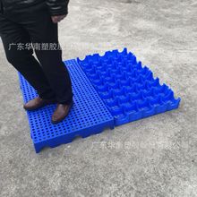 广东塑料防潮垫板 网格拼装仓库塑胶栈板组合多尺寸新料塑胶托盘
