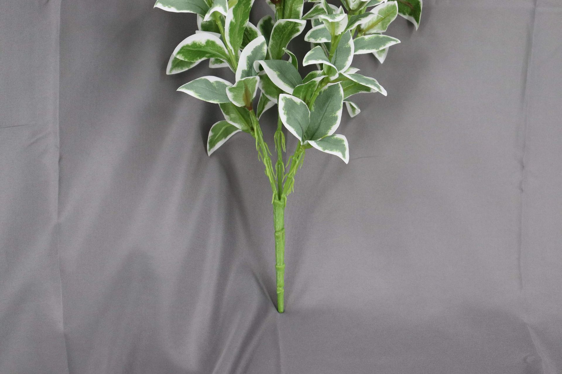 厂家直销5叉银边叶家居摄影装饰工程摄影装饰银边叶仿真果子