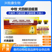 中牧犬四联疫苗土狗养殖场专用预防犬瘟细小肉狗防疫幼犬疫苗马犬
