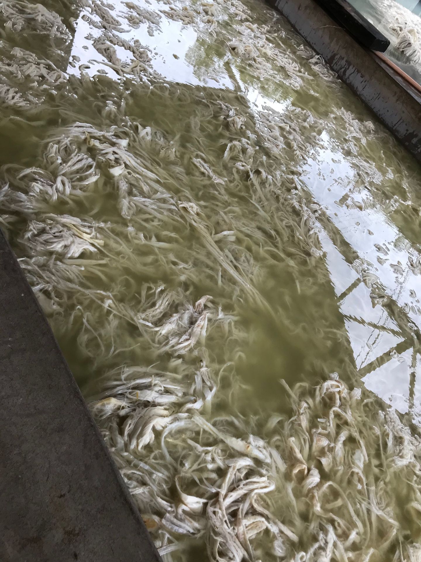 四尺构皮麻纸供应 手工仿古做旧毛边纸半生熟纸构皮纸长纤维宣纸