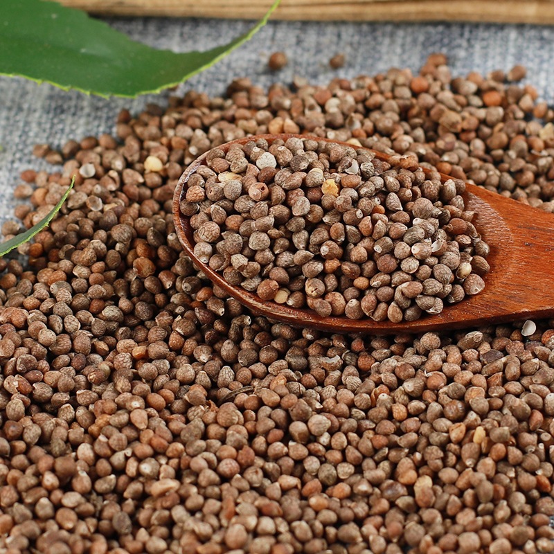 中药材东北紫苏子可食用榨油磨粉 新货散装生紫苏子鸟粮鸟食饲料