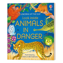 英文原版 Look inside Animals in Danger 揭秘危险动物 英文版