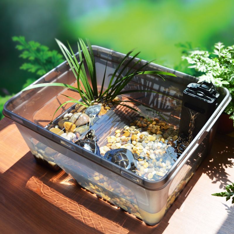 水族箱小鱼缸图片