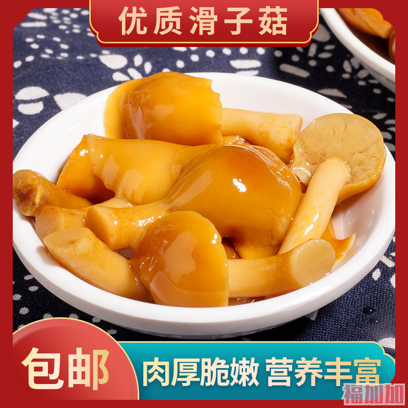 新鲜滑子菇1000克袋装 东北滑子蘑清水蘑野山菌滑菇蘑菇-阿里巴巴