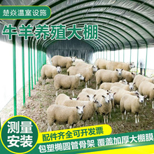 养殖大棚骨架加工动物过冬保温大棚椭圆管方管大跨度养羊养牛大棚