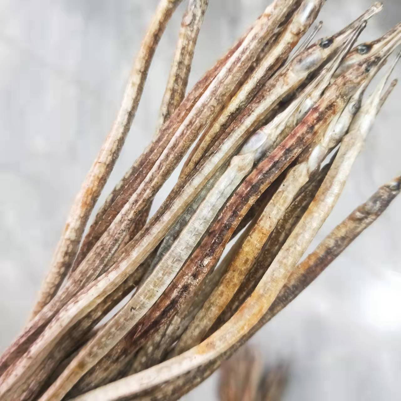 海龙批发海龙中药材小海龙刁海龙炖汤药材干货 跑江湖泡酒料