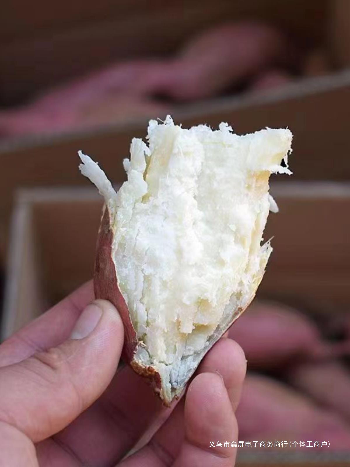 lp板栗红薯斤山芋沙地新鲜蔬菜农家当季地瓜番薯白心斤常温