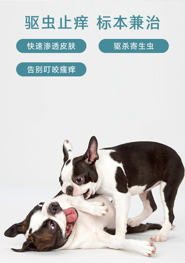 体外驱虫去进口_12