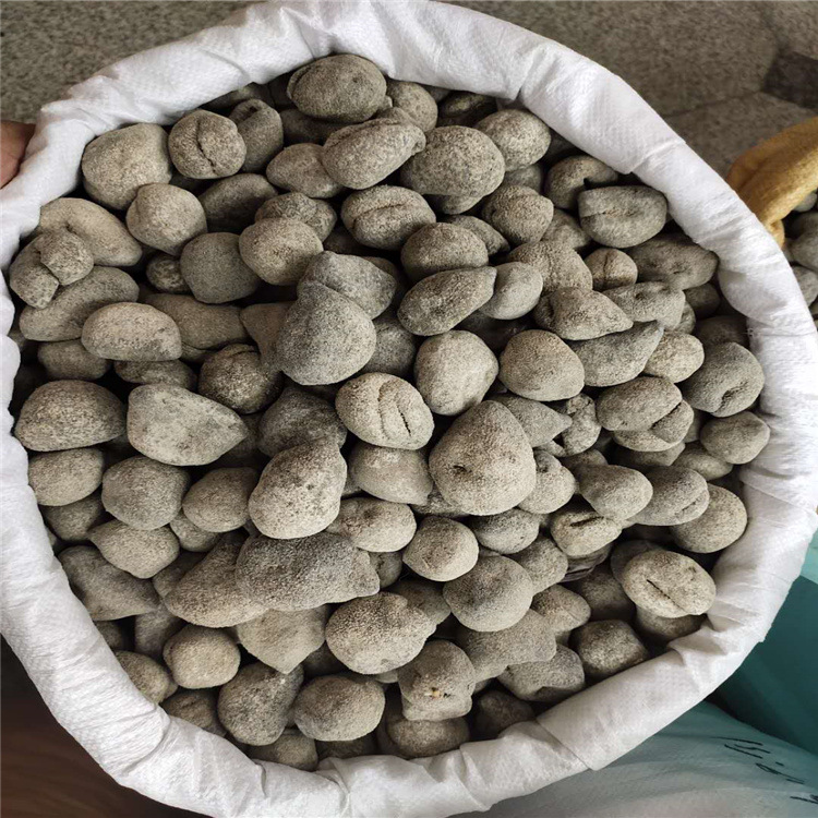 产地直批 印尼珍珠球参 原产地淡干球参 乌元参厚肉发量好15-70头