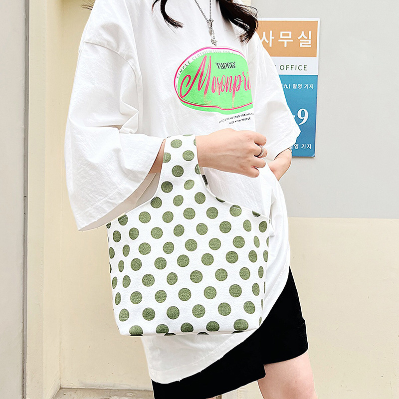 New Simple Lunch Box Handbag Wholesale Niche French Style Good-looking Work Hand Carrying Japanese and Korean Canvas Bag Women