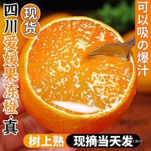 应号柑橘10包邮蜜桔果冻新鲜橙子当季水果斤橙四川38大果整箱爱媛