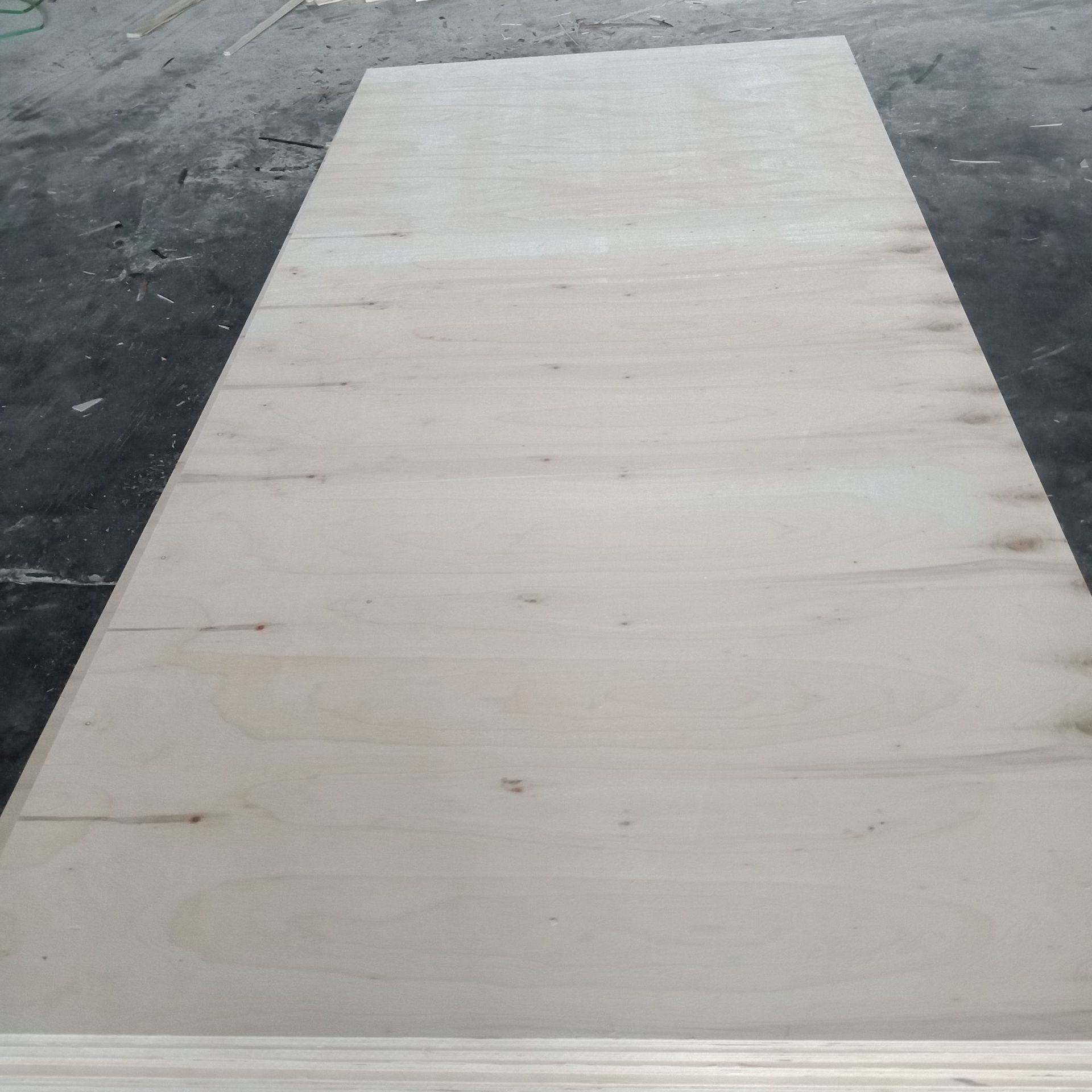 硬质车箱 多层杂木车箱板 车箱底板 冷藏箱体木质多层垫板 海洋板