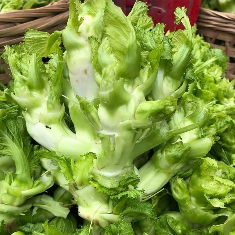 盐儿菜干娃娃菜干四川特产青菜片农家自晒干可凉拌炒菜下饭菜批发