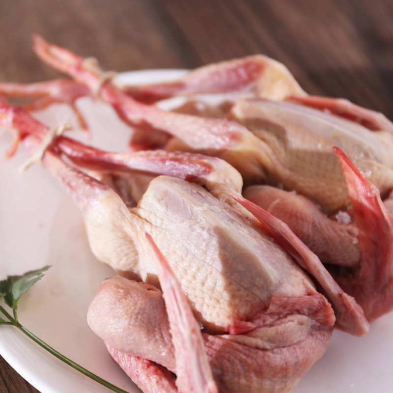 乳鸽真鸽子现杀鸽子肉3只滋补土鸽孕妇滋补养身新鲜肉鸽小吃