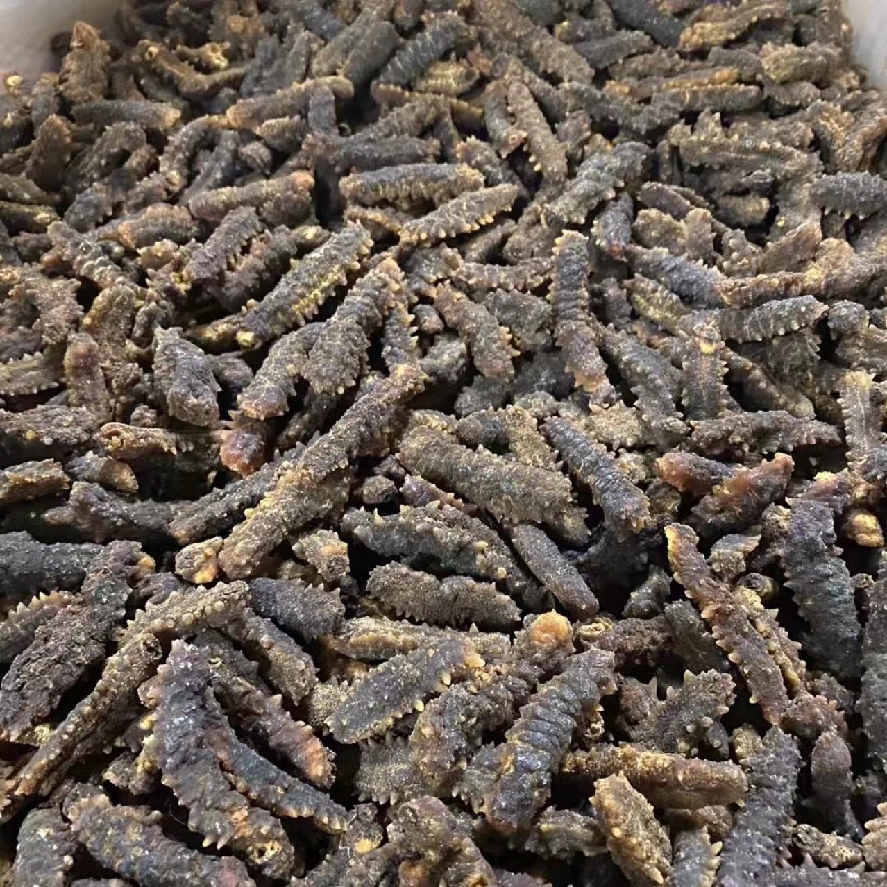 印尼刺王参 印尼刺王参 刺参 刺黄参 印尼海参淡干海参干货