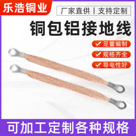 镀锡铜编织端子线防静电全铜接地桥架跨接线小平方接地厂家现货