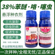 巧易38%苯醚.咯.噻虫大蒜小麦玉米拌种剂种衣剂地下害虫蛴螬根腐