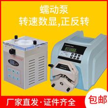 上海青浦沪西实验室蠕动泵恒流泵软管泵带泵头HL-1/2/BT100/200