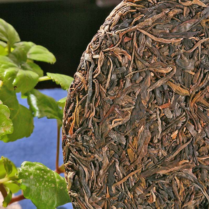 源头厂家茶叶云南普洱茶饼生普古树荒山乔木357g春茶非古树普洱