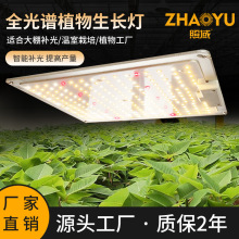 双头LED生长灯植物灯LED生长灯200w全光谱LED植物组培种植灯