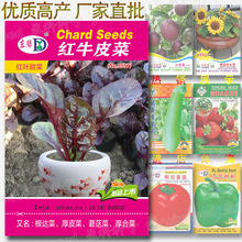 红牛皮菜种籽 约40粒 红叶甜菜莙荙菜紫叶红叶根达菜厚合菜厚皮菜