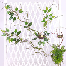 仿真绿植墙植物弯曲造型背景墙造景装饰苔藓枯树藤青苔树枝