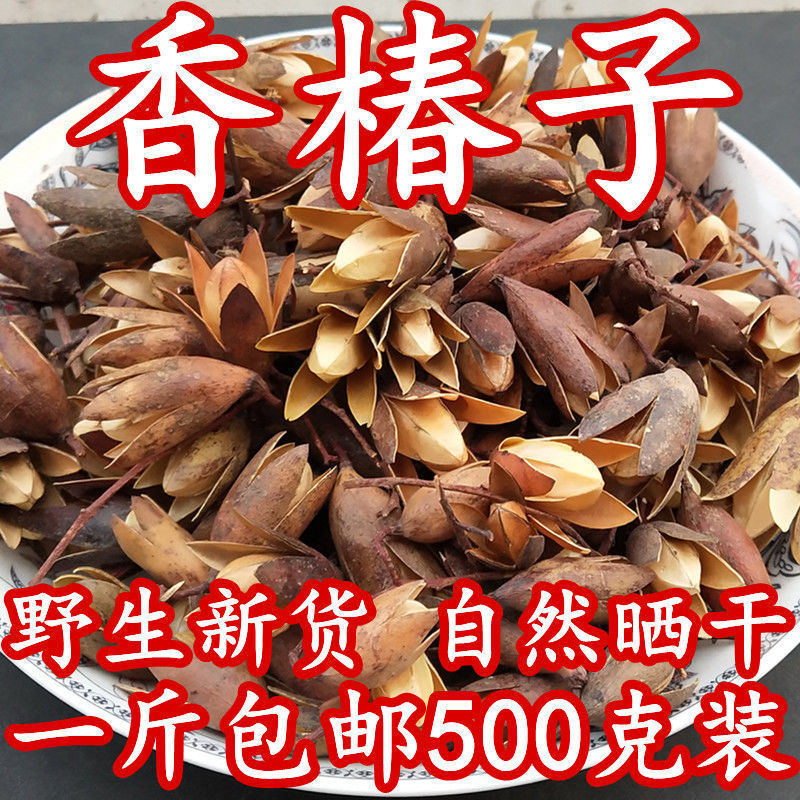 香椿子材野生香椿树果实香铃子香椿籽椿树子香椿铃不打粉包邮新货