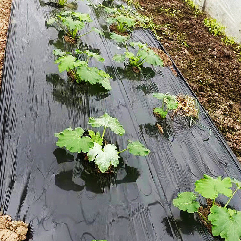 地膜装修专用黑地膜农用黑膜白膜膜保温保湿蔬菜新料加厚塑料薄膜