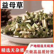 益母 益母泡脚干益母茶新鲜食用批发材