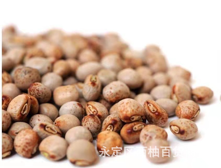 木豆种子/木豆/豆蓉/观音豆/树豆/柳豆当年新采绿化灌木种子