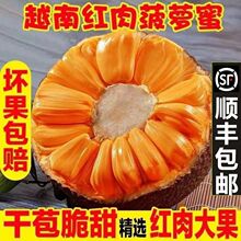 树上熟18斤越南红肉菠萝蜜一整个新鲜水果包邮当季红心波罗蜜干苞