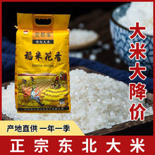 尝稻家黑龙江大米  热销款有机弱碱性厂家直销米面淀粉类餐饮生鲜