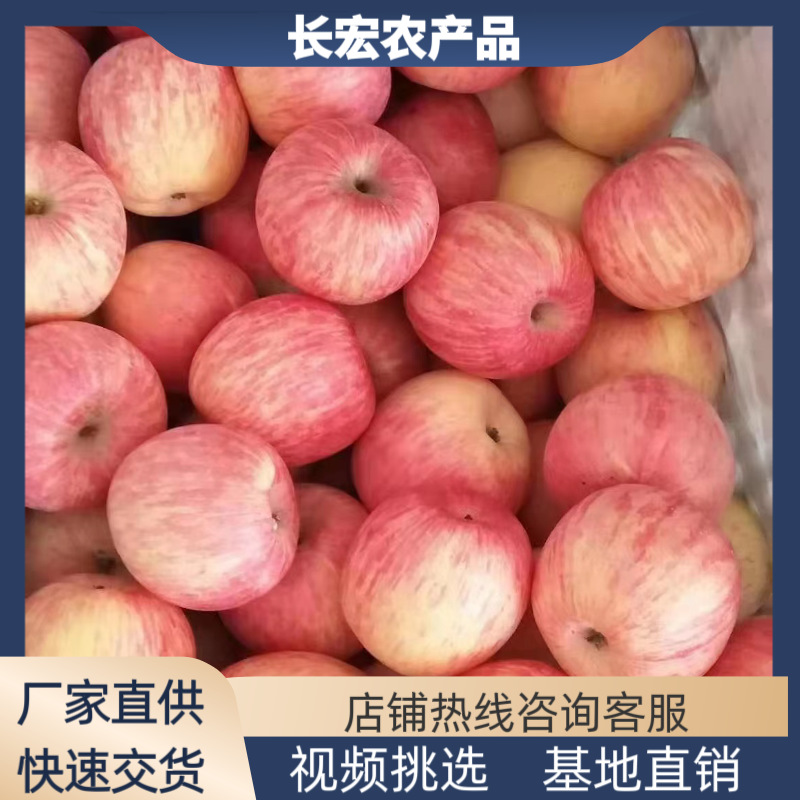 四川重庆苹果批发基地广西红富士苹果价格甘肃红富士苹果基地价格