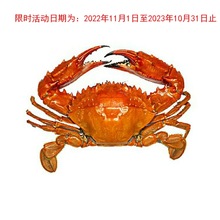 舟山石头蟹石闸蟹花盖蟹3斤一份鲜活发货_阿里巴巴找货神器