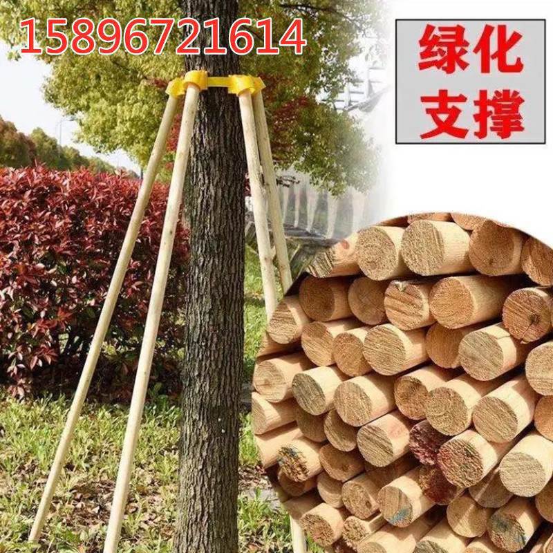 树木支撑架杆固定器套装杉木松木杨木棍整套园林绿化防风工程支架
