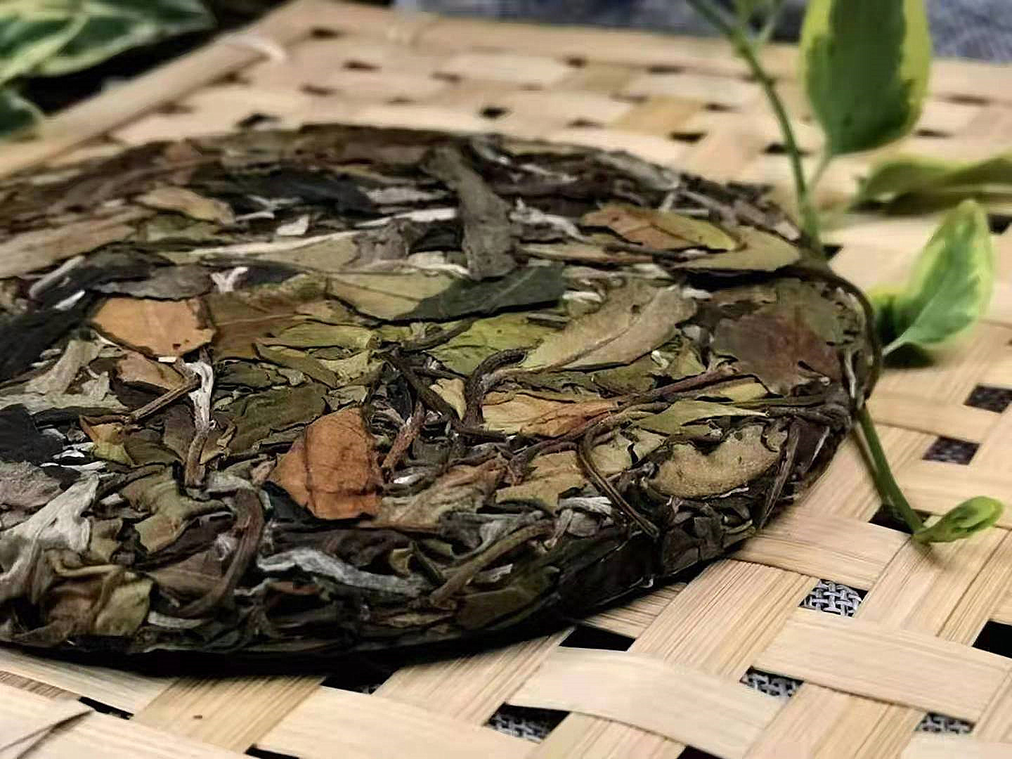 古树白茶 云南普洱茶生茶南糯山高山大叶种白茶200克 福鼎