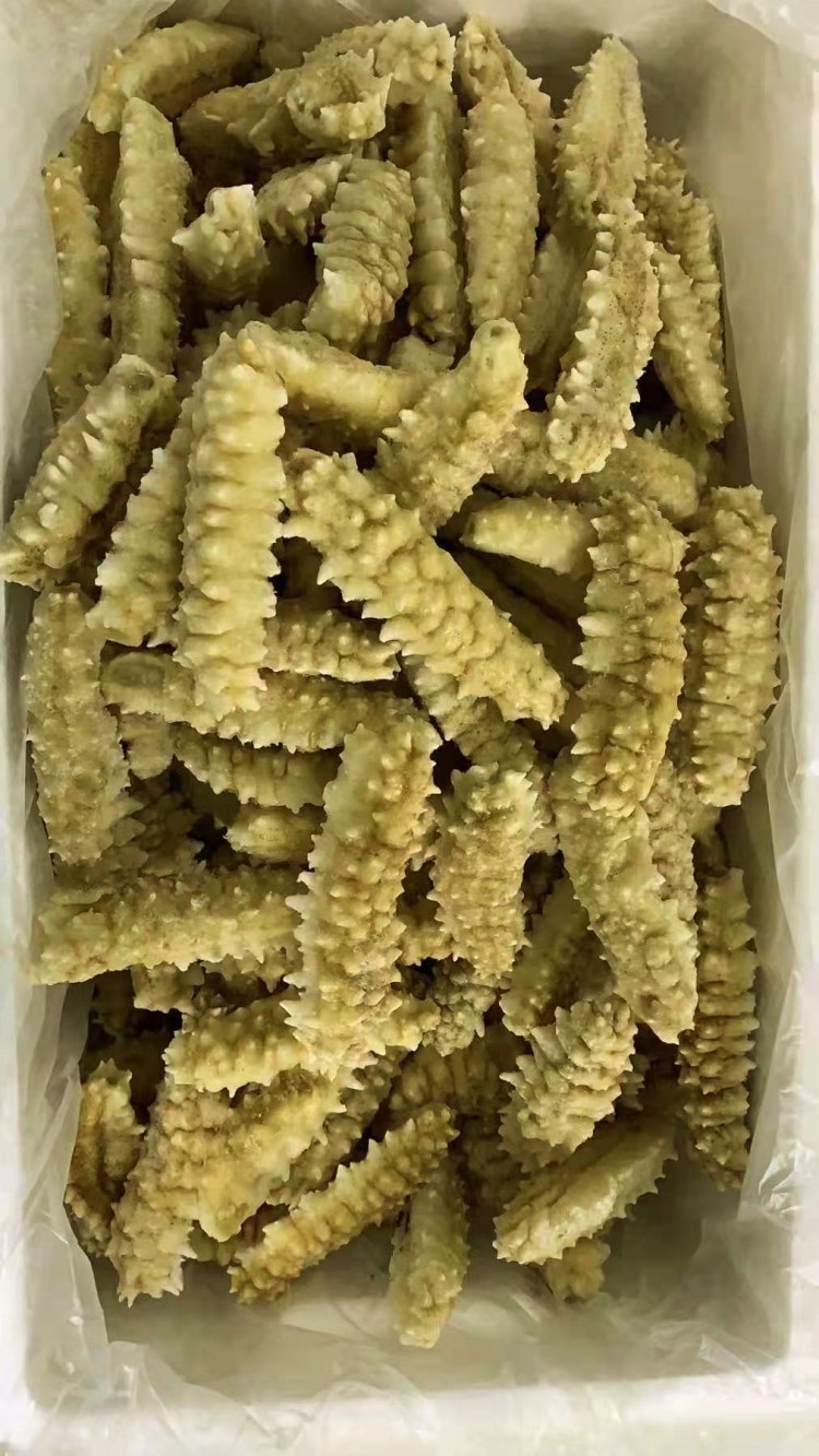 即食黄玉参 即食黄金刺参 即食海参