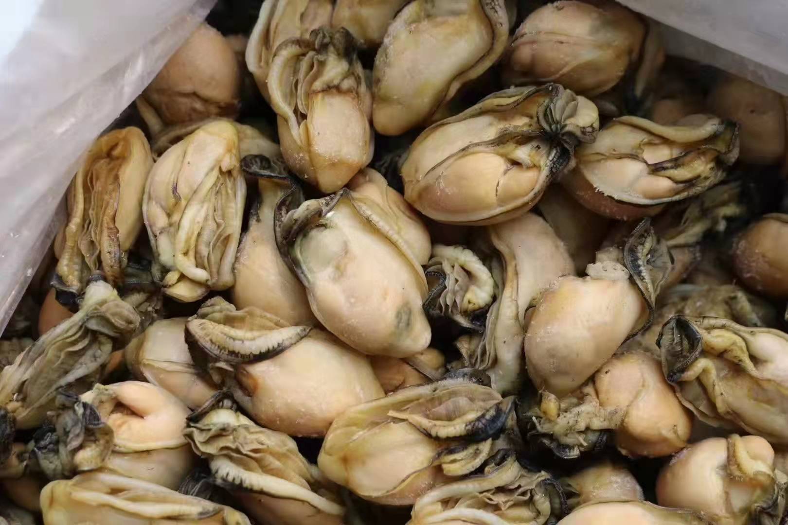 生晒蚝干海牡蛎子蚝豉蚝士干程村蚝肉海味水产干货一件代发500克