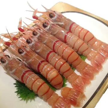 新西兰海鳌虾新鲜海鳌虾刺身海捕鳌虾甜虾海鲜水产日料批发